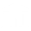 Government (1).png
